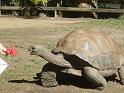2011_05_Australia (511)